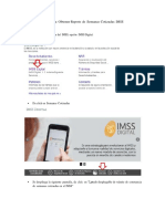 Pasos Reporte de Semanas Cotizadas 2018