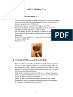 Experiment Fizica distractiva.pdf