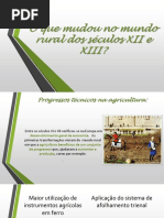 O Que Mudou No Mundo Rural Dos Séculos (1)