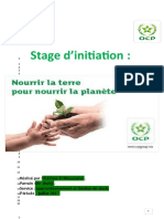 Chaimae El Moussaoui Stage D'initiation VERT