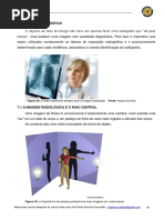 19 02 04 O Exame e Imagem Radiológica Raio Central Posição Anatômica e Planos de Secção