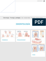 Odontología - Fisiología y patología - Ilustración médica - ec-europe