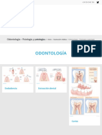 Odontología - Fisiología y Patología - Ilustración Médica - Ec-Europe