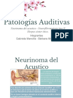 audio ppt.pdf