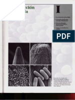 P1-C01 - La evolución de la célula.pdf