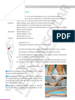 Vendaje Neuromuscular Manual Aplicaciones Practicas 78