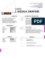 Perfil profesional optimizado para  de Fiorella Del Aguila Urapari