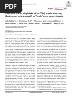 First Detection of Tilapia Lake Virus (Tilv) in Wild River Carp (Barbonymus Schwanenfeldii) at Timah Tasoh Lake, Malaysia
