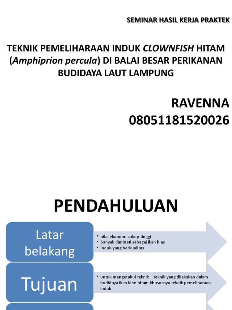 Ravenna08051181520026 Seminar Putih