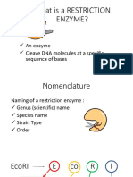 Restriction Enzyme Presentation