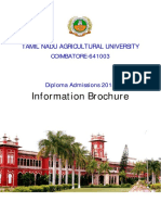 Diploma Brochure 2018