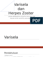 varisela - herpes zoster.pptx