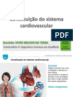 18 19 5 Sistema Cardiovascular PDF