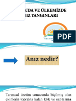  Dünyada Ve Ülkemizde Anız Yangınları