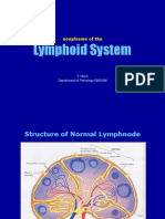 11 LYMPHOID.ppt