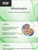 Mitochondria PDF