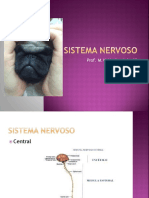 Sistema Nervoso - Veterinária