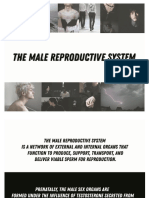 Male Repro and Diseases