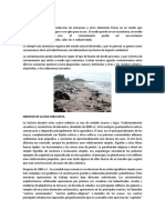 LA CONTAMINACION.docx