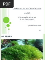 Aula 2 - Algas