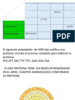 eval sintesis de proteinas..pptx