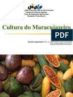 aula cultura do maracujá