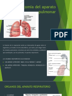 Anatomia del aparato pulmonar.pptx