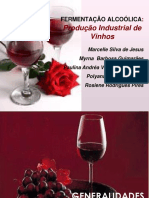 Fermentacao Alcoolica Producao Vinhos