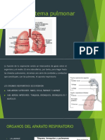 Anatomia sistema pulmonar.pptx