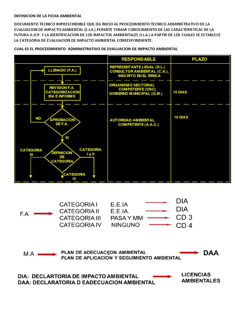 Definición y Procedimiento de Ficha Ambiental | PDF | Evaluación de ...