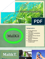 MalikT