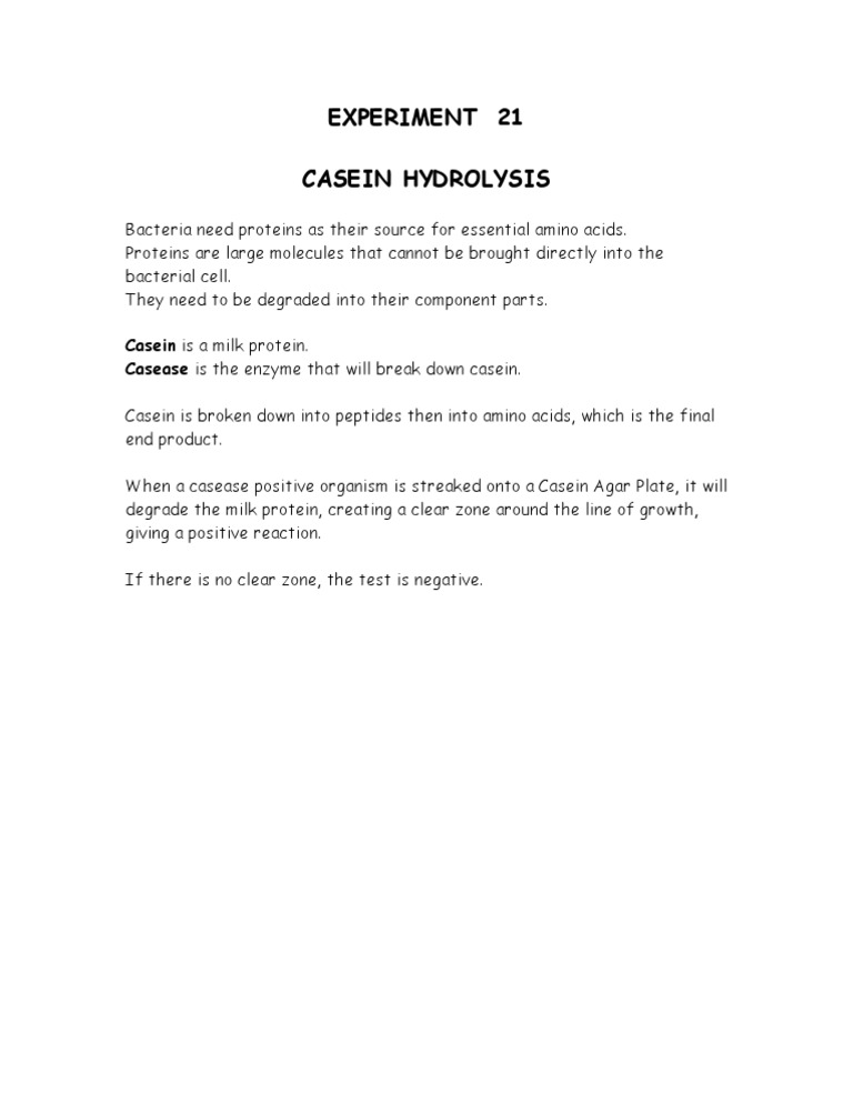 Casein Hydrolysis in Bacteria | PDF | Cooking, Food & Wine