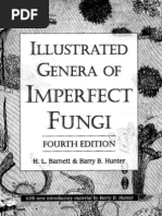 Download BOOK Illustrated Genera of Imperfect Fugi by Petter Prado SN39934972 doc pdf