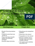 Struktur dan Fungsi Tumbuhan