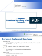 Functional Anatomy of The Upper Extremity