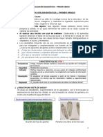 CTA - 1º_Manual de corrección evaluación diagnóstica.doc