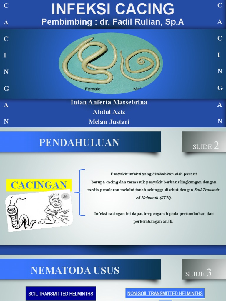 Infeksi Cacing | PDF