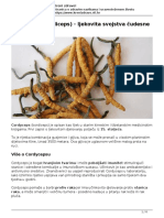 Cordyceps Kordiceps Ljekovita Svojstva Cudesne Gljive PDF