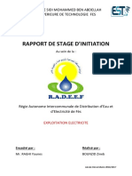 Rapport de Stage RADEEF