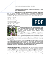 Dokumen - Tips - Adat Istiadat Kalimantan Selatan PDF