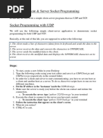 Socket Programming - Client and Server PDF