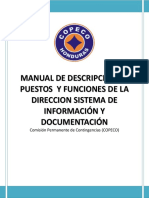 5 - Descripcion de Puestos y Funciones de La Direccion Sistema de Informaci+ã N y Documentaci+ã N Version Final 2010 0 PDF