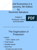 Production Theory & Estimation