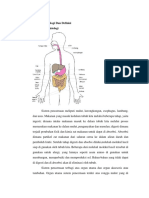 Gastroenteritis Akut: Anatomi, Definisi, Etiologi, Klasifikasi, Patofisologi, Gejala Klinis, Pemeriksaan Fisik dan Penunjang