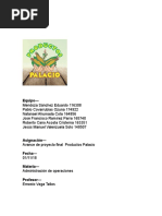 Avance Proyecto Final Productos Palacio