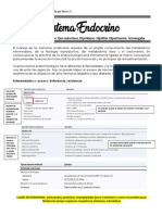 Sistema Endocrino PDF