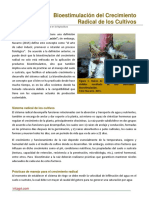 66. Bioestimulacion del Crecimiento Radicular.pdf