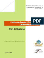 56427383-Cultivo-de-Berries-Frambuesa-y-Zarzamora-Fumiaf.pdf