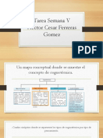 Tarea Semana V Yanaury