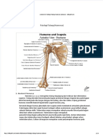 Anatomi Humerus Word